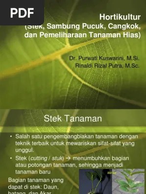 Cangkok, Stek, Enten | PDF