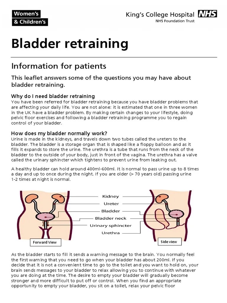 Bladder Training PDF Urinary Incontinence Urology