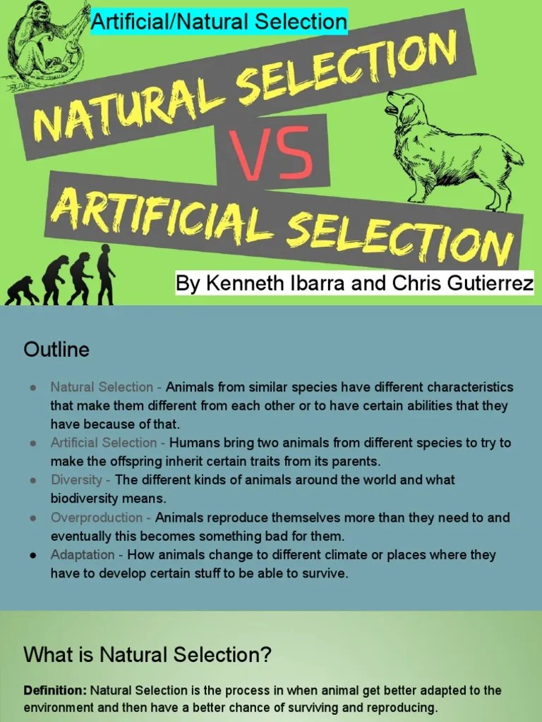 Artificial Natural Selection PDF Adaptation Biodiversity