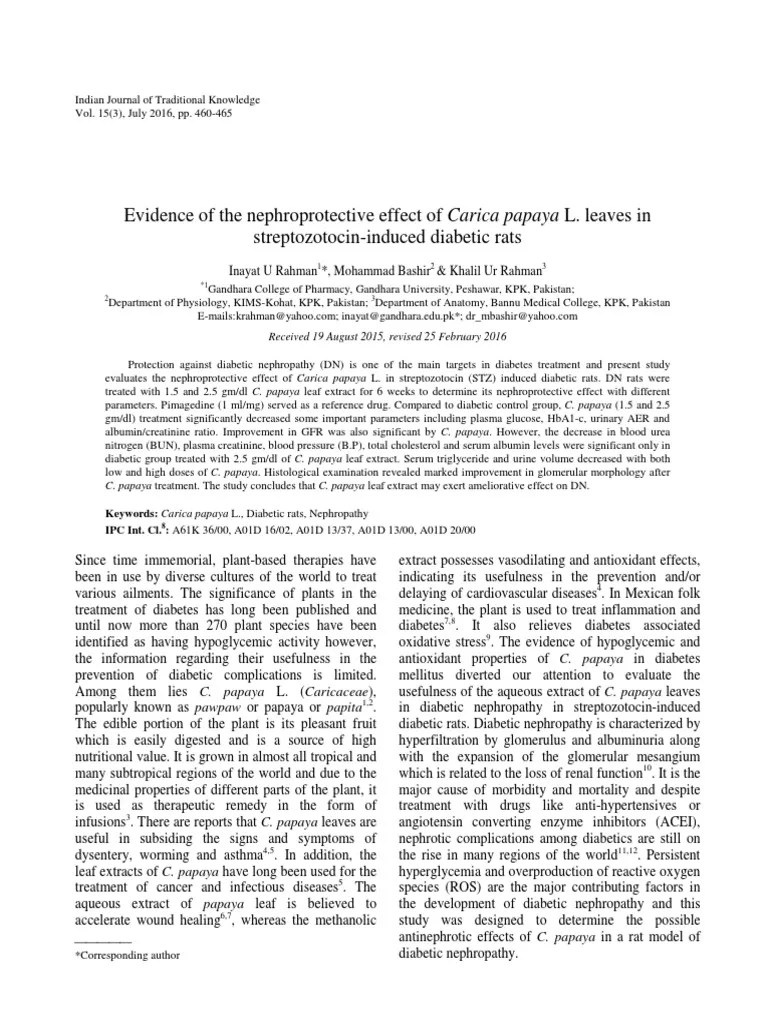 Kidney Papaya Extract PDF Renal Function Creatinine