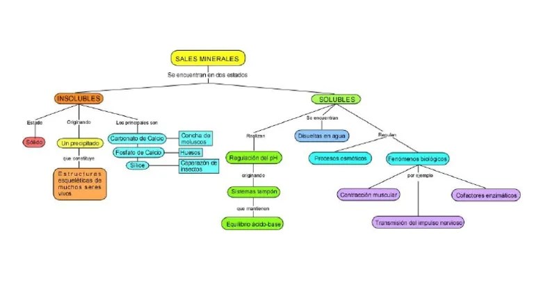 Mapa Conceptual Sales Minerales