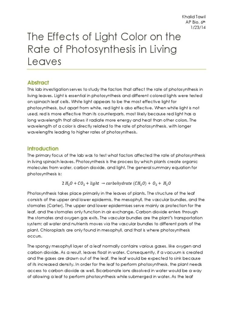 Photosynthesis Lab Report PDF Photosynthesis Leaf
