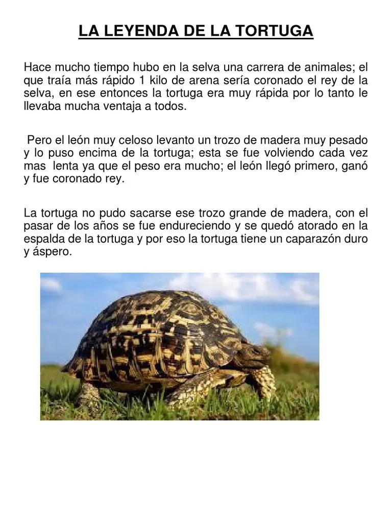 La Leyenda de La Tortuga Tortuga Ocio