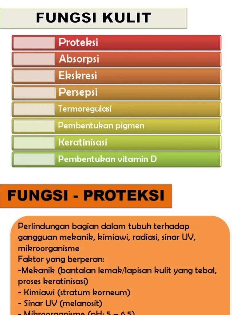 Fisiologi Kulit | PDF