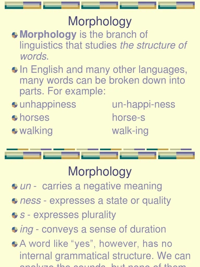 Morphology Basics | PDF | Morphology (Linguistics) | Word