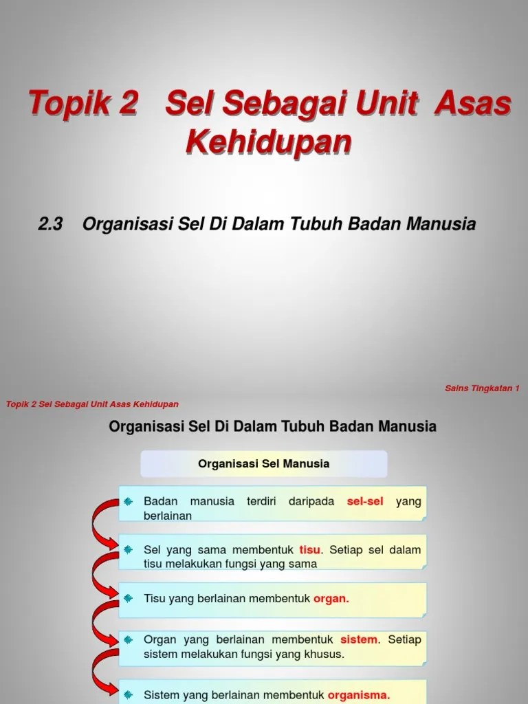 2.3 Organisasi Sel Di Dalam Tubuh Badan Manusia | PDF