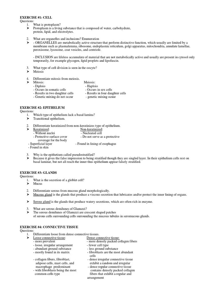 Histology Worksheets All in One PDF Stomach Bone