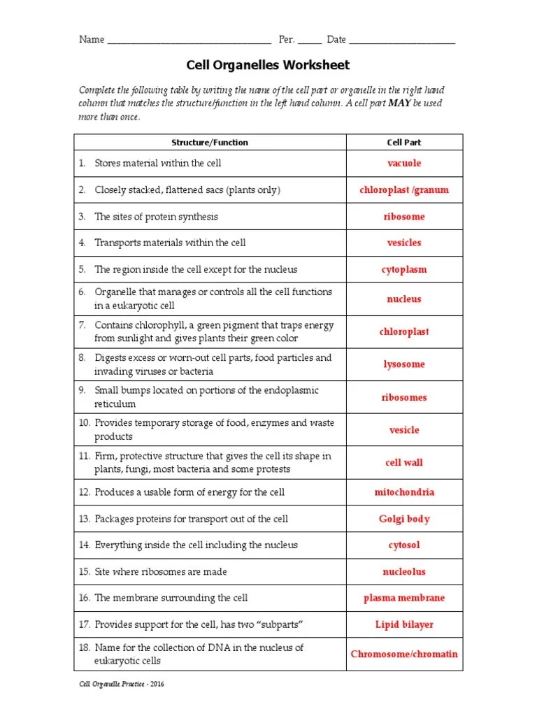 1-Cell Organelles WS 2016 KEY | Cell (Biology) | Lysosome