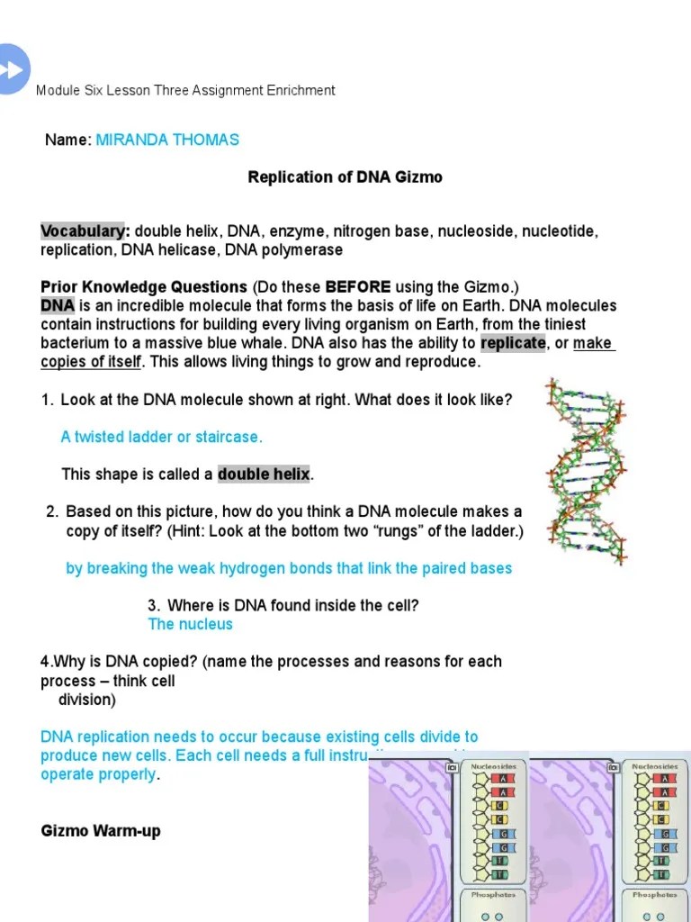 Explorelearning, building pangaea in 1915, alfred exploration sheet answer key subscribers. Biology Modulesixlessonthreepathwaythreeactivity Redo Nucleotides Dna