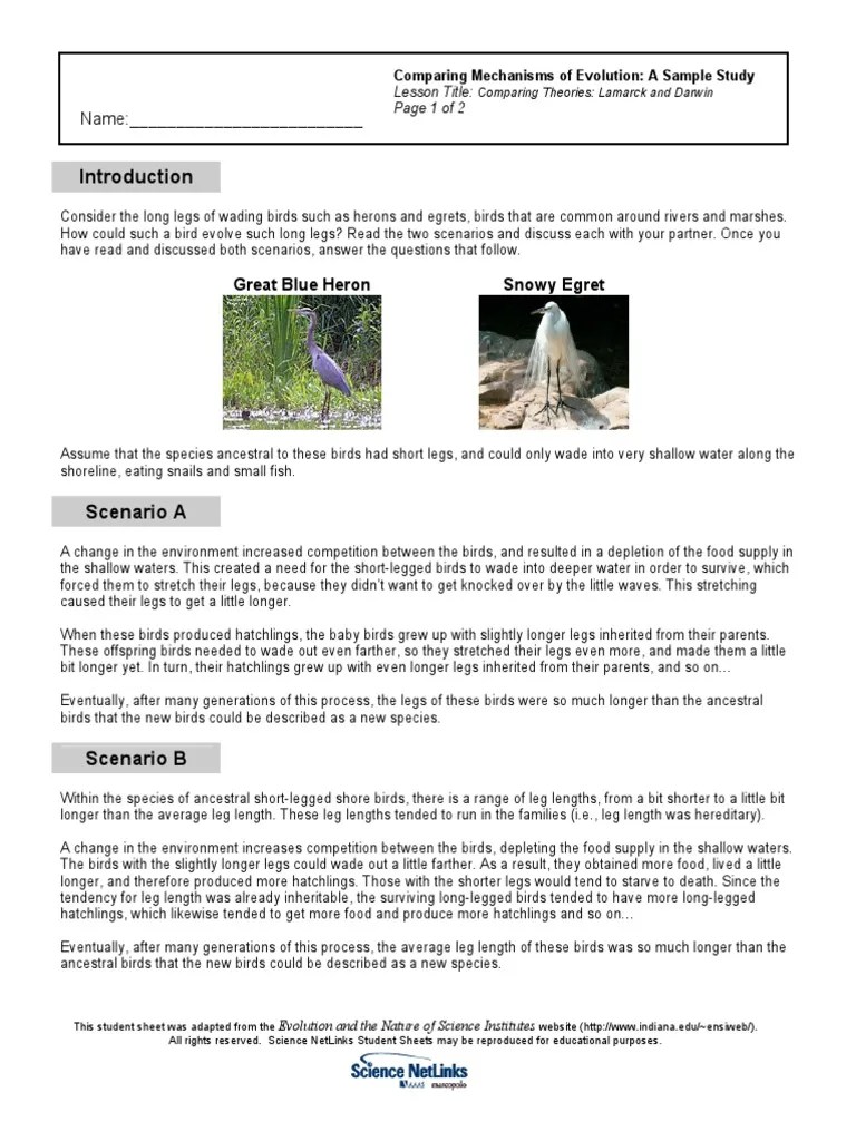 Darwin Vs Lamarck Worksheet PDF PDF Charles Darwin Evolution