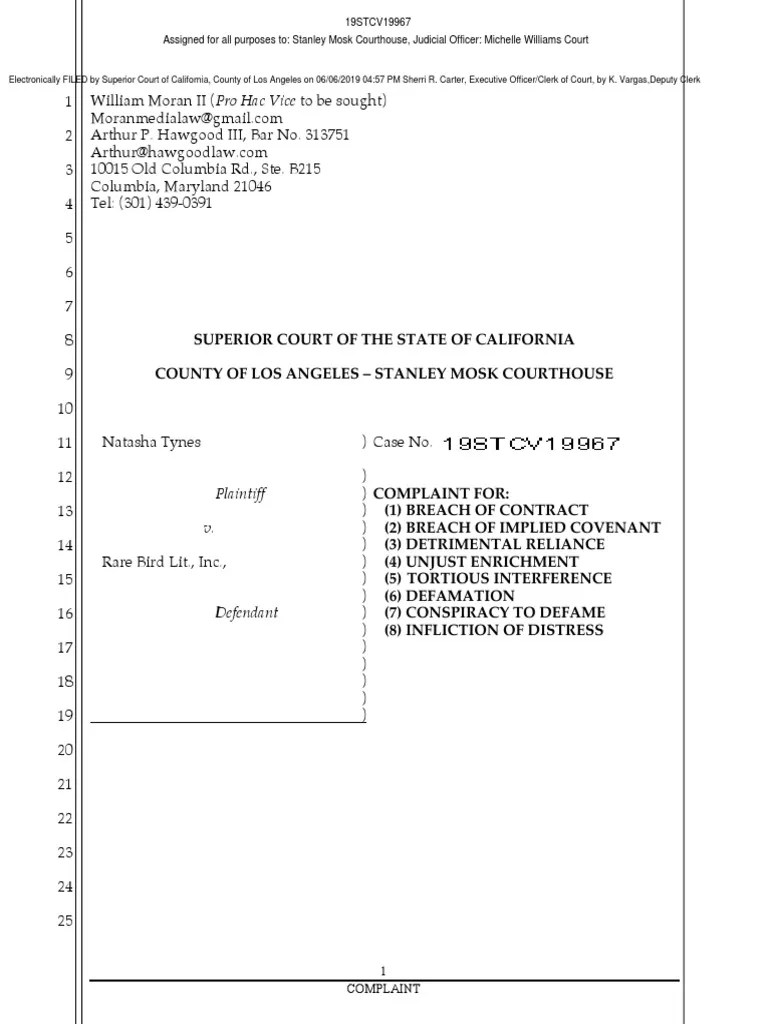 Natasha Tynes Complaint PDF Tortious Interference Defamation