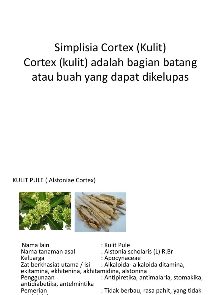 Simplisia Cortex (Kulit) | PDF