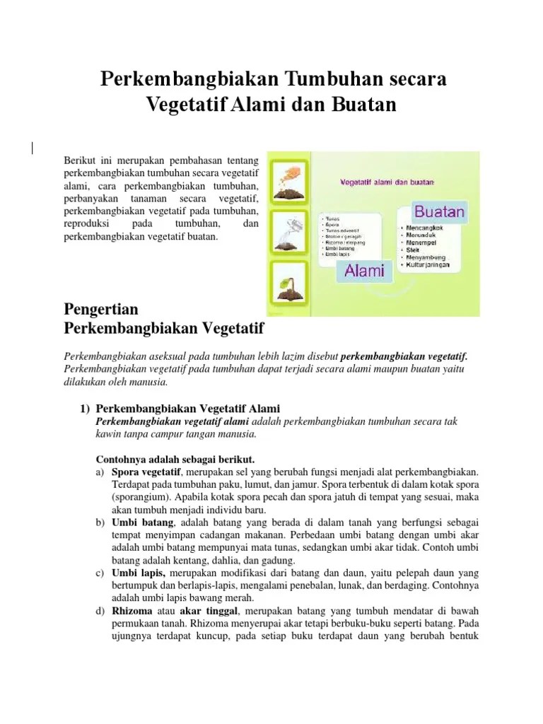 Perkembangbiakan Tumbuhan Secara Vegetatif Alami Dan Buatan | PDF