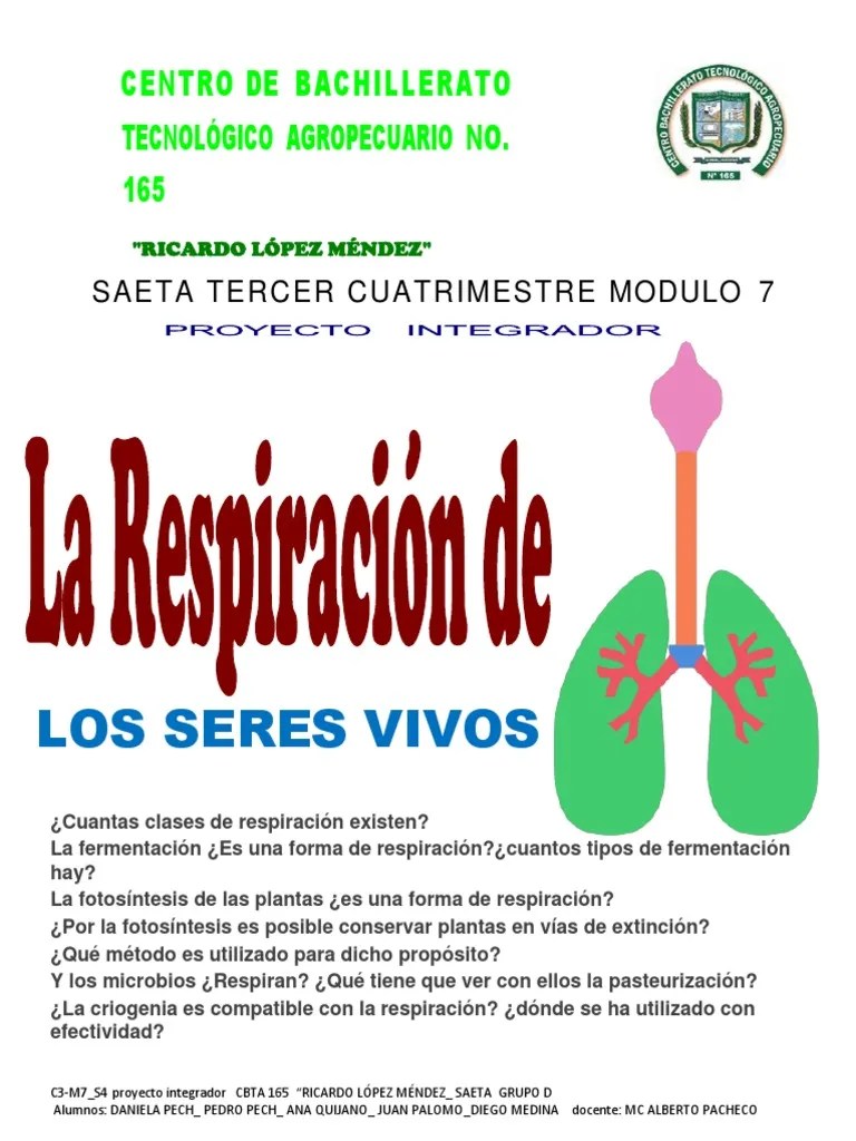 Cuantas Clases De Respiracion Hay En Los Seres Vivos Variaciones Clase