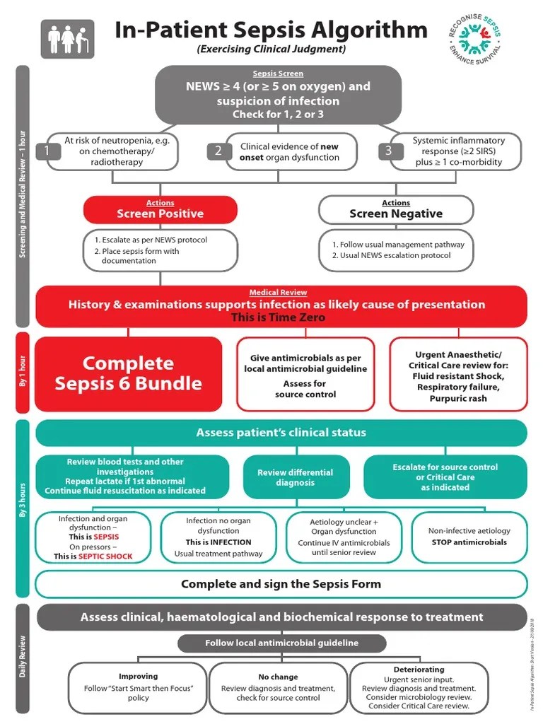Sepsis Algorithm PDF Sepsis Rtt