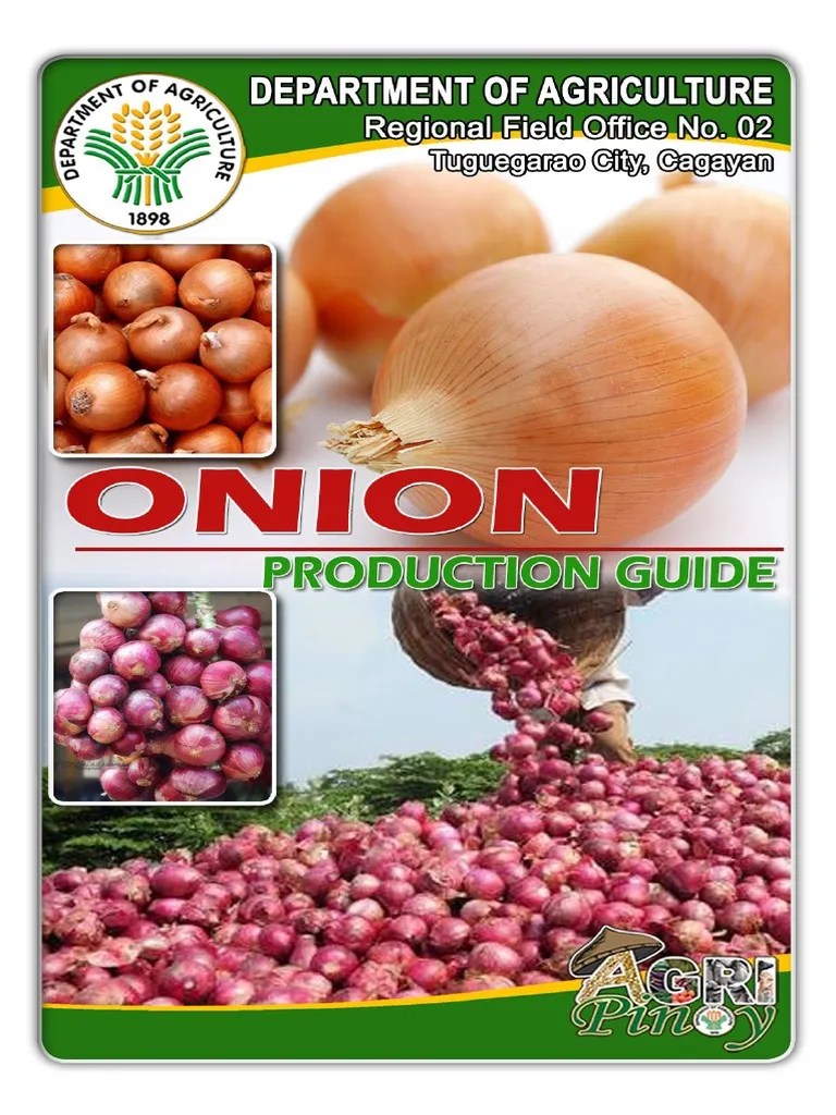 Onion Production Guide PDF PDF Onion Fertilizer