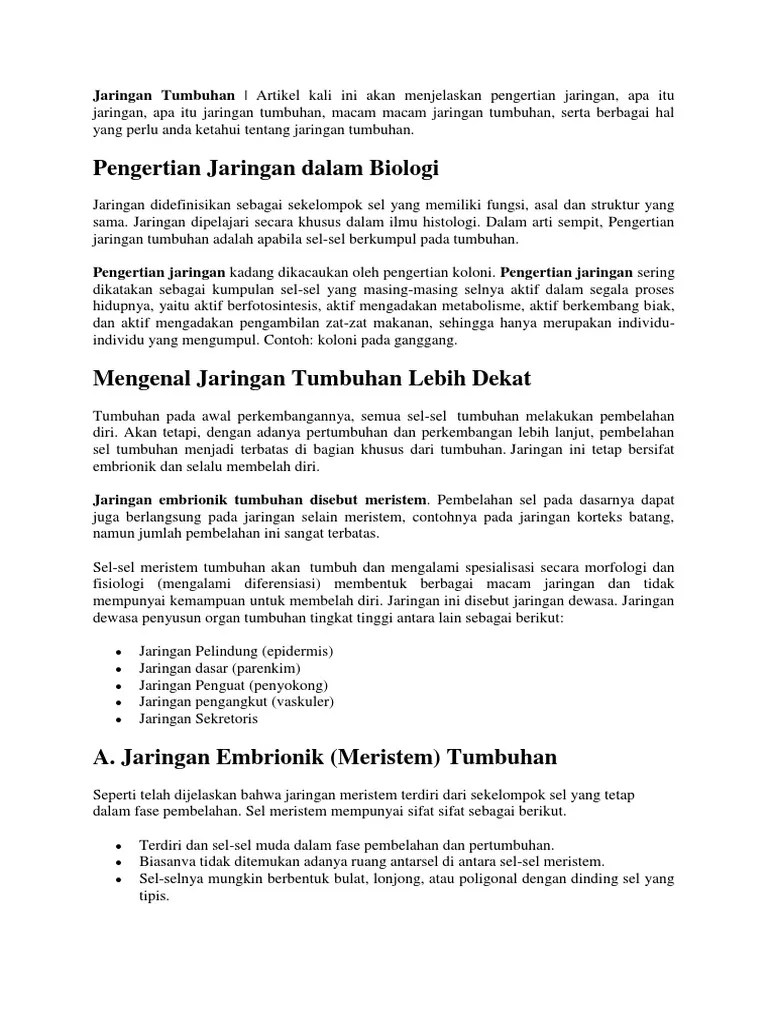 Jaringan Tumbuhan | PDF