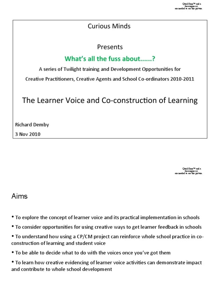 Whats All The Fuss About Learner Voice PDF Learning Behavior