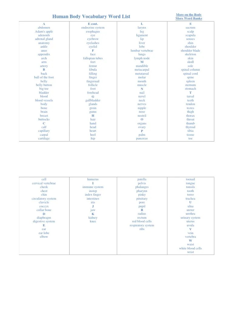 Human Body Vocabulary Word List | PDF | Human Body | Abdomen