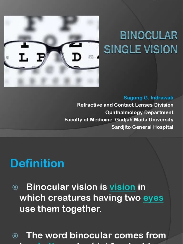 Binocular Vision PDF Visual Perception Eye