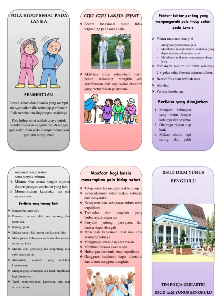 Leaflet - Pola Hidup Sehat Pada Lansia | PDF