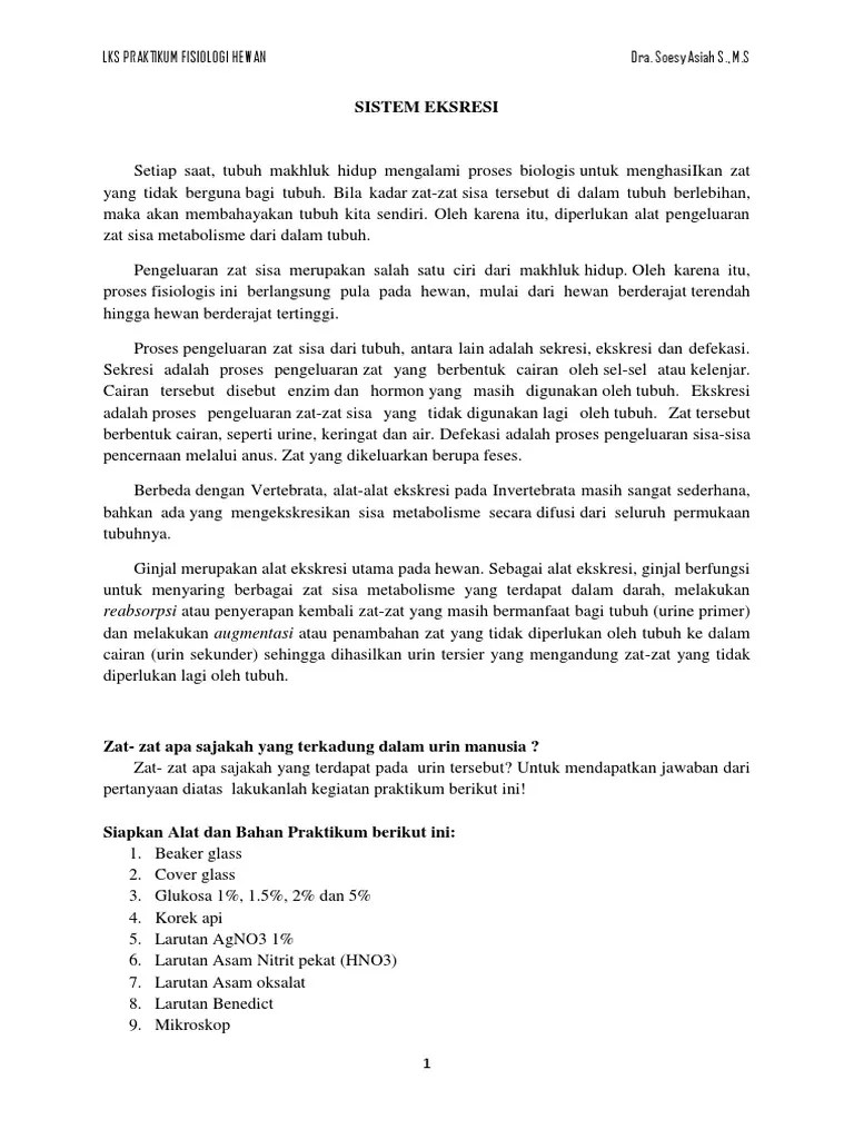 LKS 6 Sistem Eksresi PDF | PDF