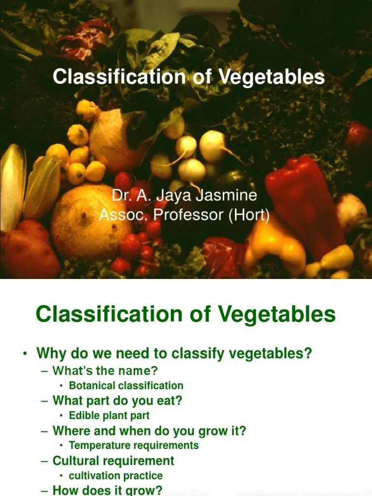 Vegetable Classification PDF Eggplant Vegetables