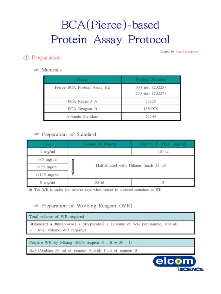 BCABased Protein Assay Protocol PDF Scientific Techniques