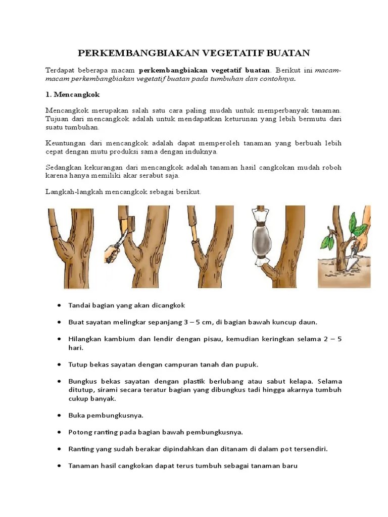 Apa Kekurangan Dari Mencangkok