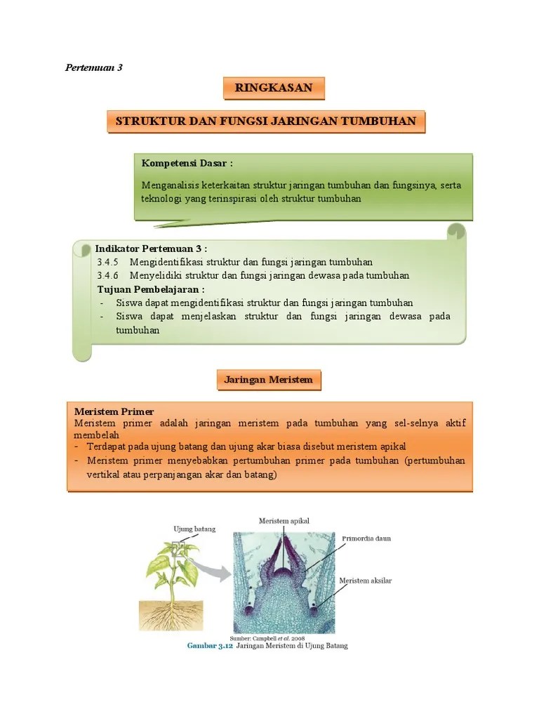Tugas 2 Bahan Ajar Pertemuan 3 | PDF