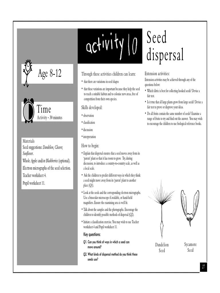 How Seeds Spread PDF Fruit Seed