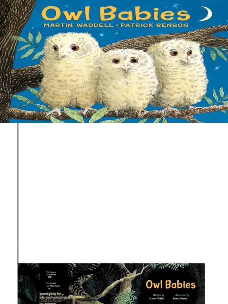 OwlBabies.pdf Books Media