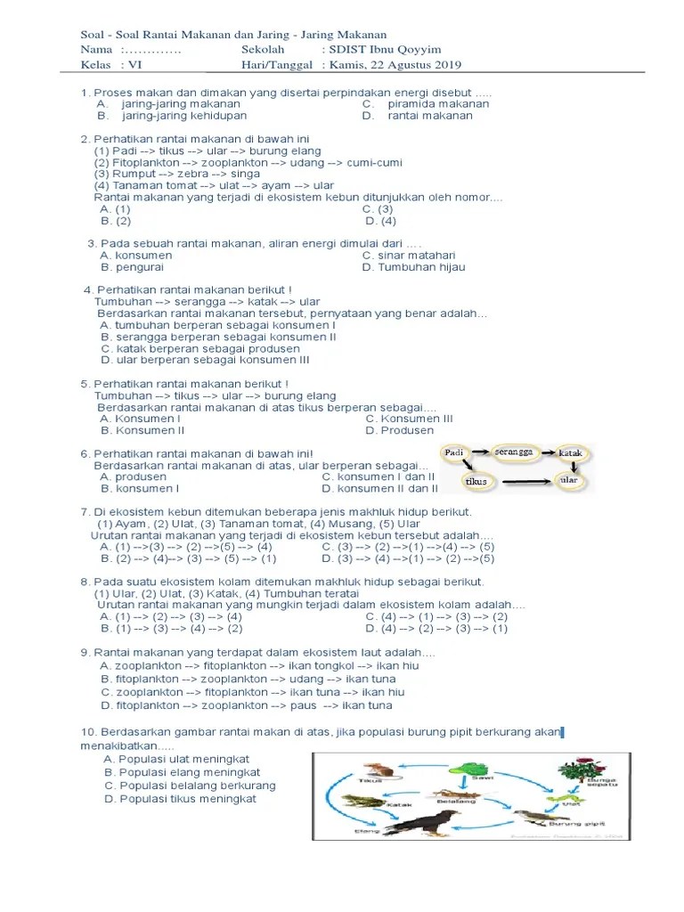 Rantai &amp; Simbiosis | PDF