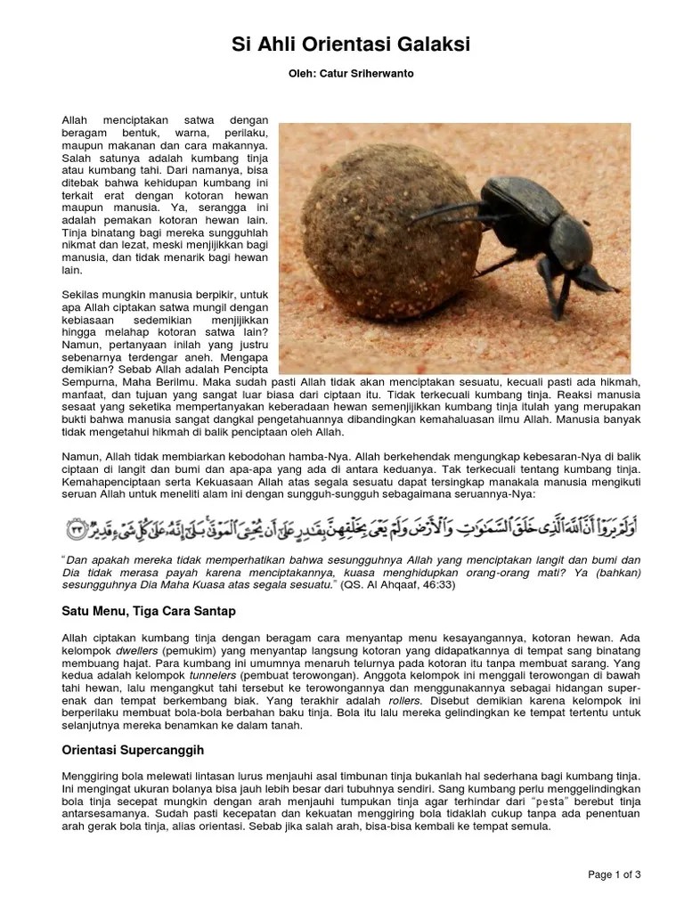 Serangga Berteknologi Galaksi PDF | PDF