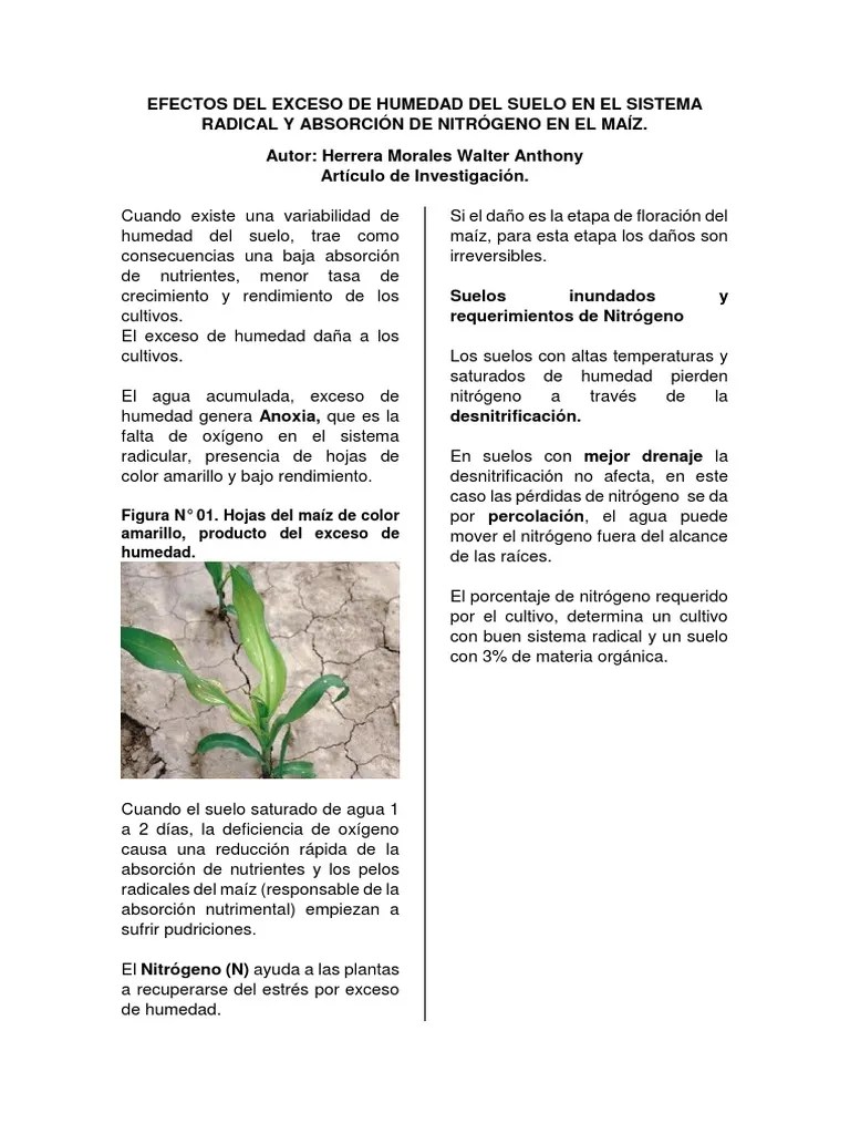 Efectos Del Exceso de Humedad Del Suelo en El Sistema