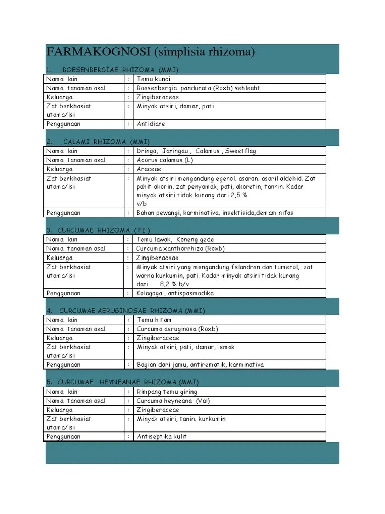 Farmakognosi Rhizoma | PDF