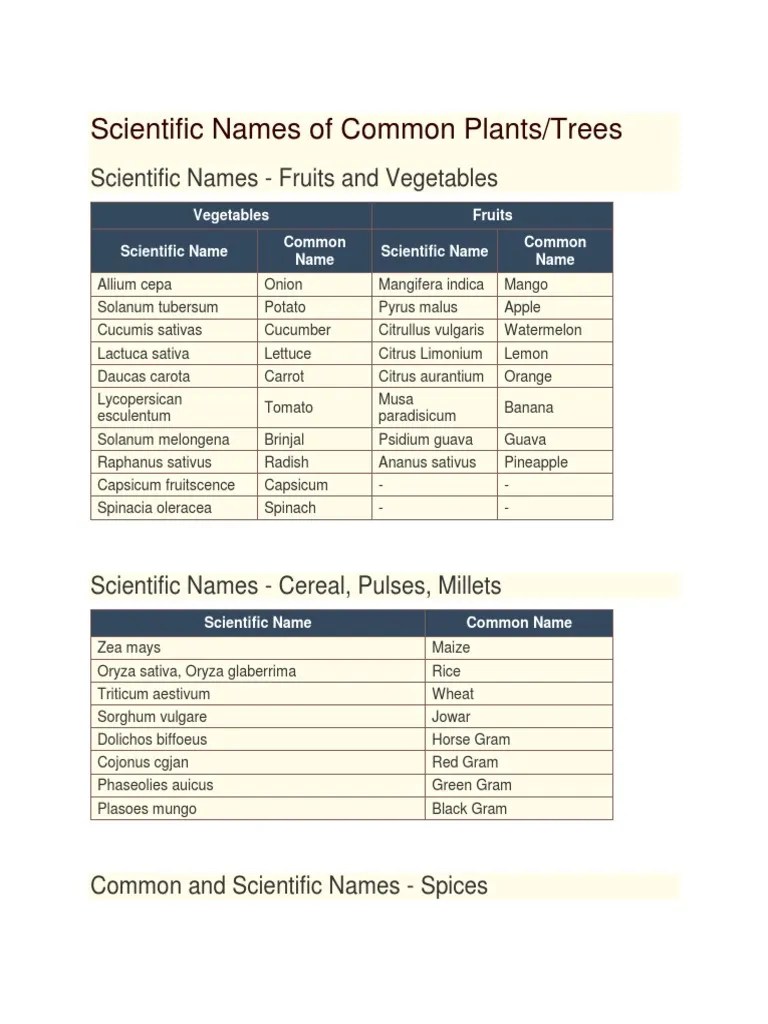 Scientific Names of Common Plants PDF Edible Plants Crops