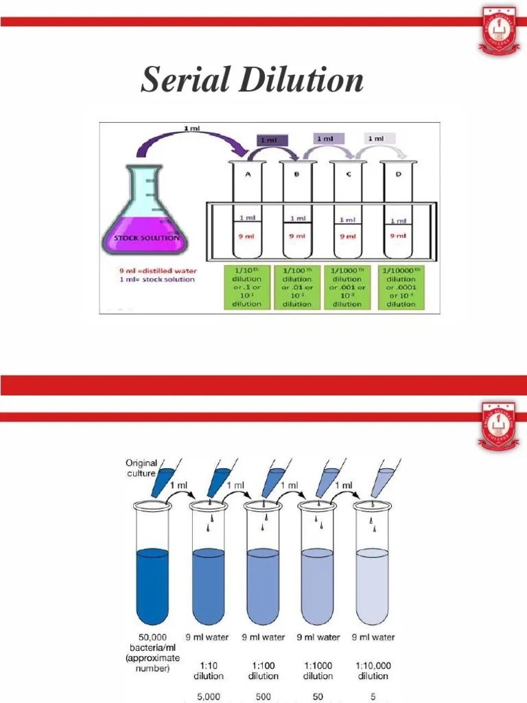 Serial Dilution PPT 2019