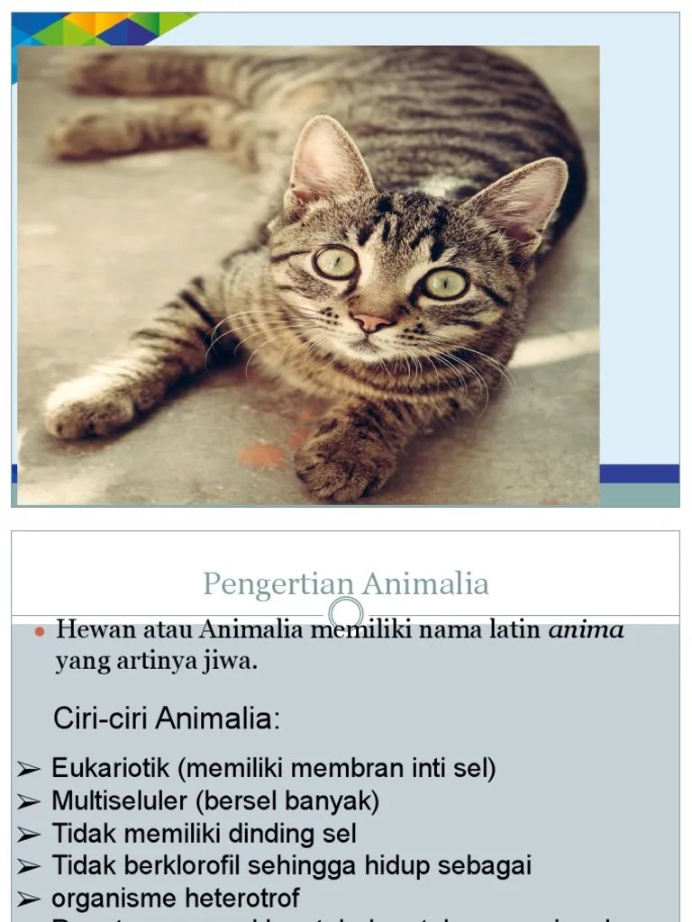 Bab 8 Dunia Hewan (Animalia) | PDF