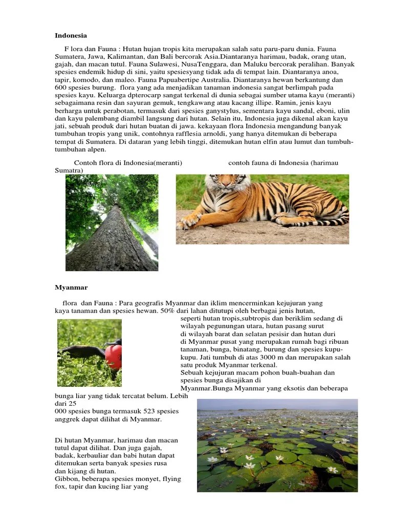 Flora Fauna Di Asean | PDF