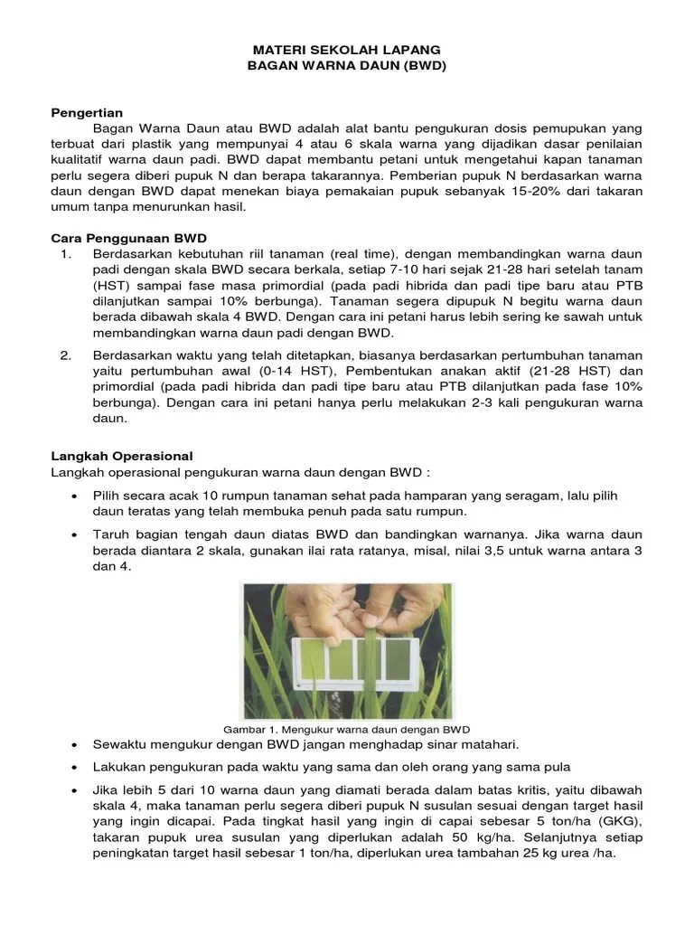 Materi Sekolah Lapang BWD | PDF