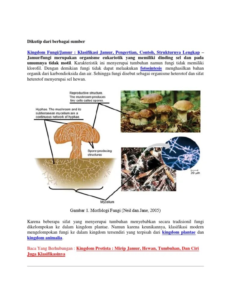 Jenis Fungii | PDF