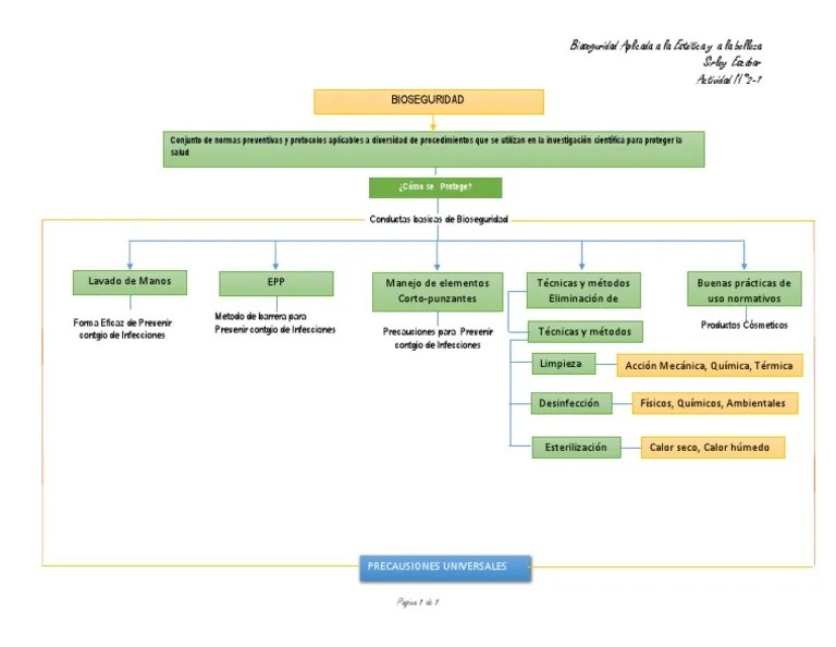 Mapa Conceptual Bioseguridad Química Naturaleza