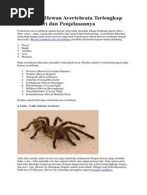 10 Contoh Hewan Avertebrata Terlengkap Beserta Ciri Dan Penjelasannya | PDF