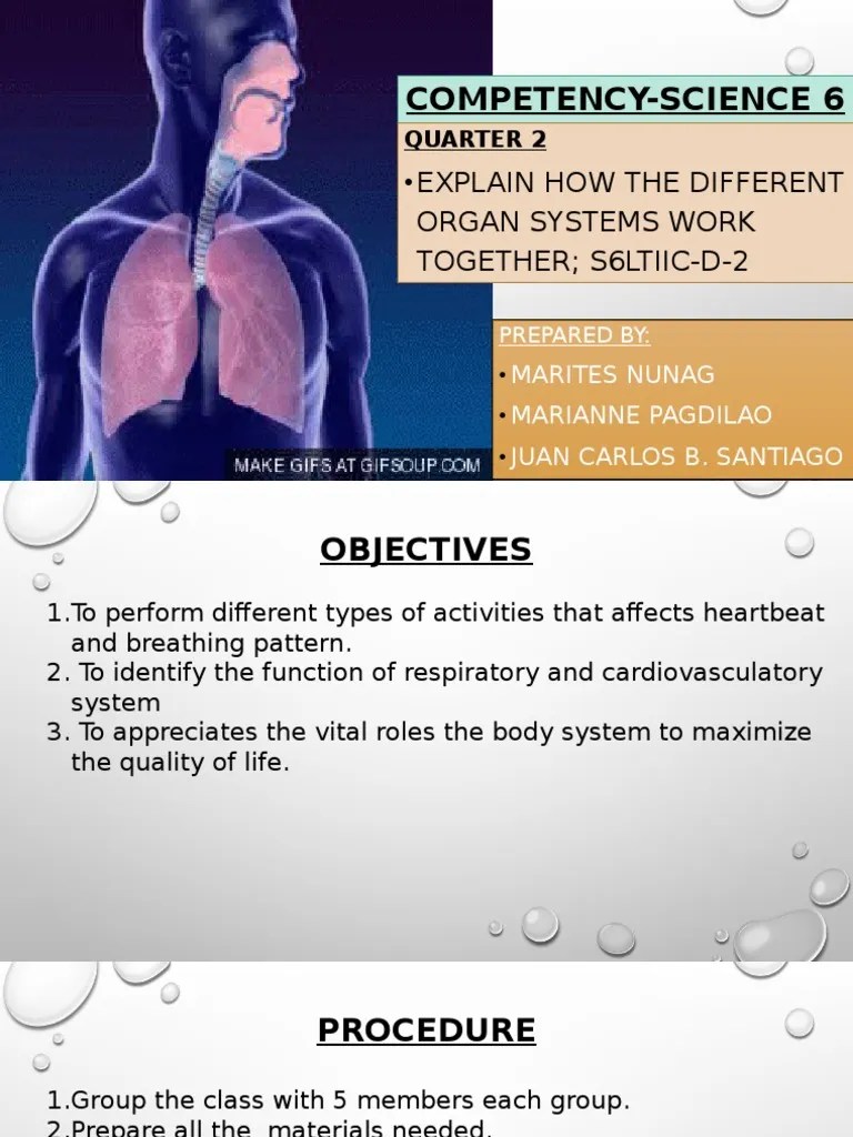 CompetencyScience 6 Explain How The Different Organ Systems Work