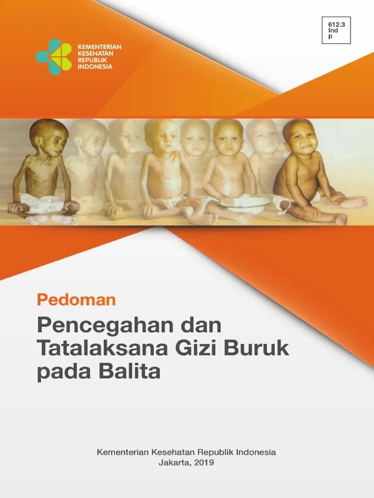 Tatalaksana Gizi Buruk 2013 Buku 2 Pdf Info Berbagi Buku