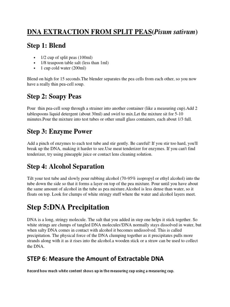 Dna Extraction From Split Peas (Pisum Sativum) Step 1 Blend PDF
