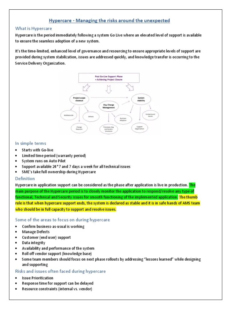 Hypercare Approach v1 Software Bug Business Process