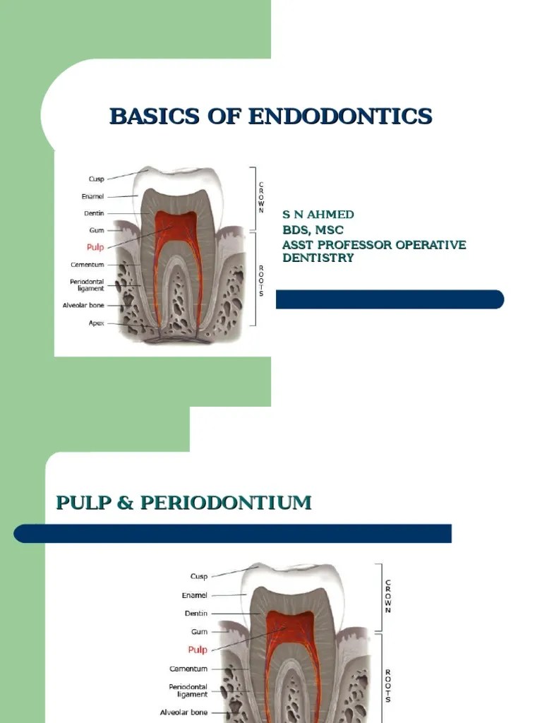 Basics of Endodontics PDF Clinical Medicine Dentistry Branches