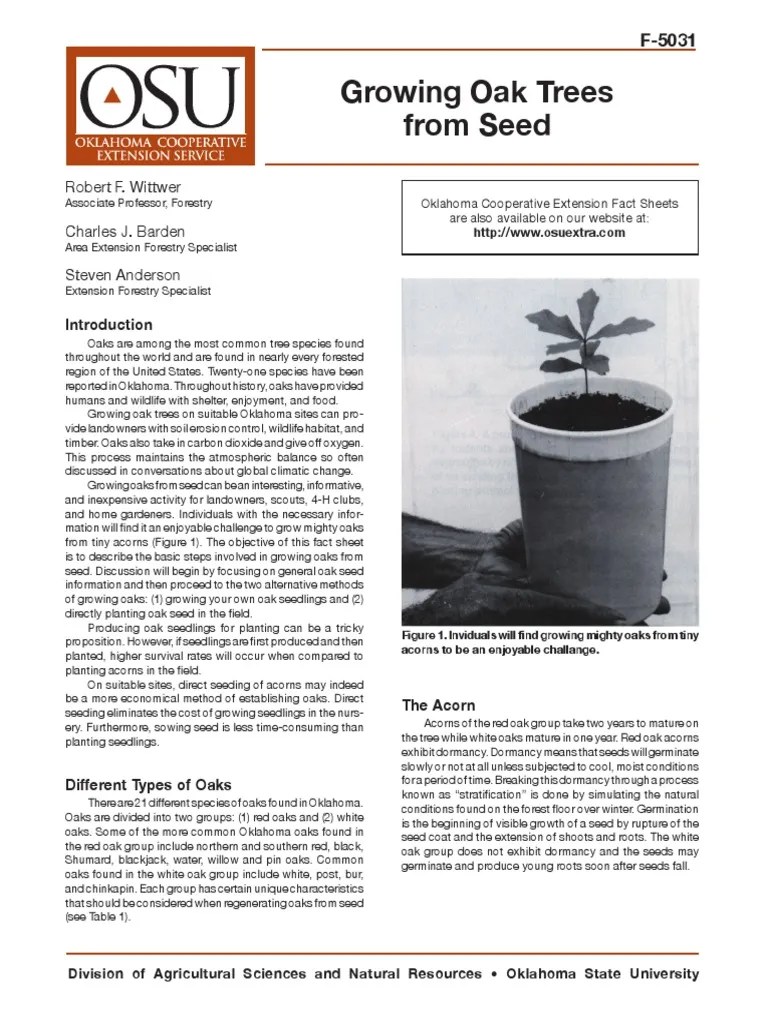Growing Oak Trees From Seed Robert F. Wittwer Charles J. Barden Steven